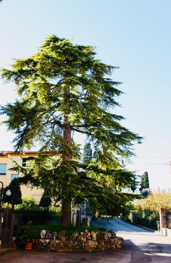 La Torre Di Caprera Leilighet Siena Eksteriør bilde